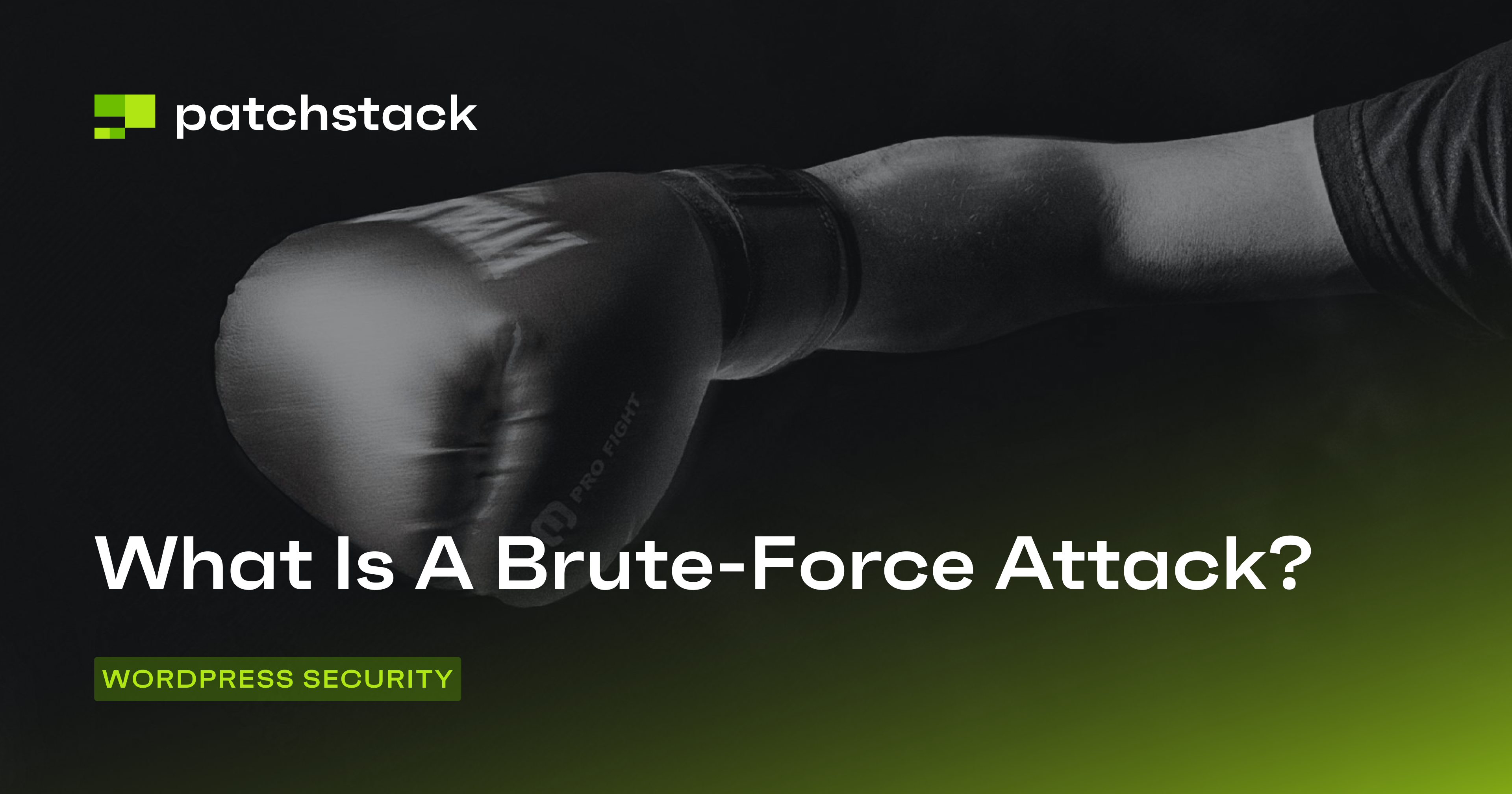 What Is A Brute Force Attack