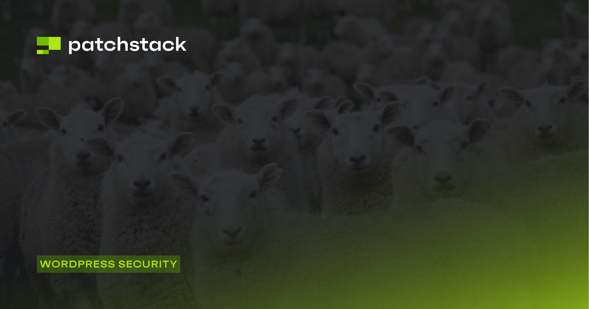 patchstack - how to limit login attempts on wordpress - 5 methods